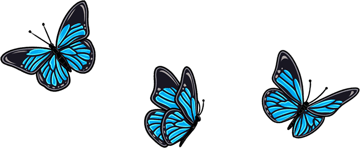 Butterflys
