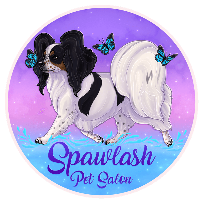 Spawlash Logo